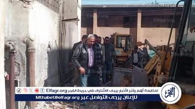 تنظيم حملة نظافة مكبرة لرفع المخلفات والقمامة بمدينة أبوتيج فى أسيوط 