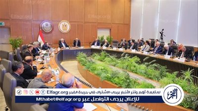 رئيس جامعة المنصورة يشارك في الحوار المجتمعي حول مقترح نظام 