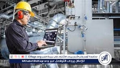 خبير اقتصادي: توطين الصناعة أحد استراتيجيات الدولة لزيادة المكون المحلي