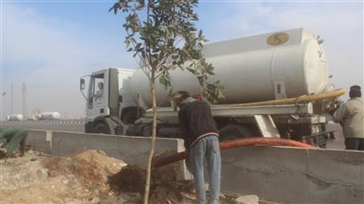 محافظ الجيزة: تنفيذ المرحلة الأولى لتشجير الطريق الدائري بمبادرة 100 مليون شجرة