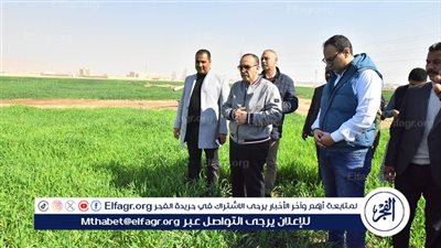 محافظ أسيوط يتفقد أعمال زراعة 150 فدان من محصول القمح بالوادي الأسيوطي 