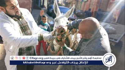 محافظ الدقهلية: تحصين وكشف وعلاج أكثر من 13ألف رأس ماشية وطيور وفحص 