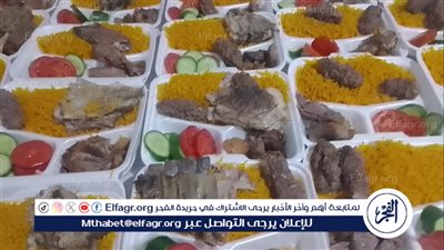 تضامن الدقهلية: توزيع 18475 وجبة ساخنة بالنصف الأول من يناير على الأسر الأولى بالرعاية