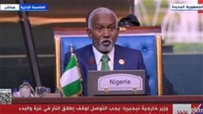 وزير خارجية نيجيريا: بلادنا ومصر لهما نفس الموقف من ضرورة وقف إطلاق النار في غزة