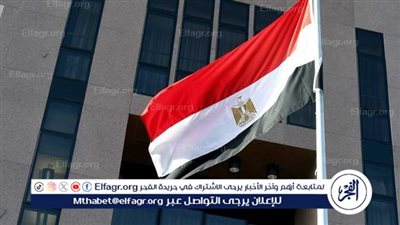 مصر تتابع تنفيذ اتفاق وقف إطلاق النار في غزة بمشاركة وفود دولية