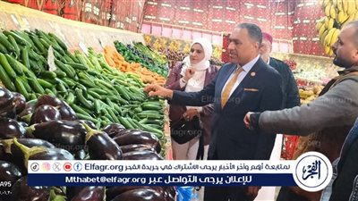 لهذه الأسباب..جولة تفقدية لسكرتير عام مطروح بالمعرض اللوجيستي