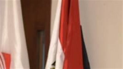 محافظ أسوان يتابع أنشطة صندوق مكافحة وعلاج الإدمان