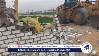 رئيس مركز القوصية ينفذ إزالة فورية لـ 3 حالات تعدي على الأراضي الزراعية وفك شدة خشبية