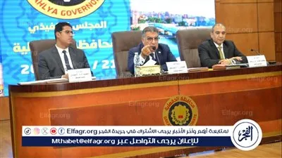 محافظ الدقهلية بالمجلس التنفيذي: تكليف لجنة من إدارة الحوكمة لمتابعة معدلات الانجاز بملفات التصالح
