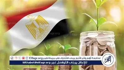 خبير: الاستثمار الأجنبي هو أساس استراتيجية الاقتصاد المصري