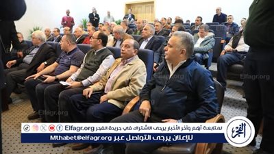 رئيس جامعة أسيوط يشارك فى ورشة عمل حول الإتاحة في التعليم 