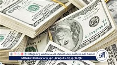 سعر الدولار مقابل الجنيه المصري اليوم السبت 25 يناير 2025: استقرار في الإجازة الرسمية للبنوك