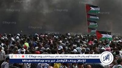 موقف مصر الثابت أمام مقترحات التهجير القسري للفلسطينيين (تقرير)
