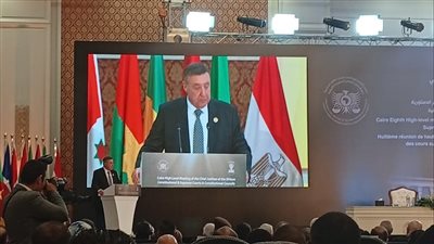 عدم دستورية نص الفقرة الأخيرة من المادة (110) من قانون المرافعات المدنية والتجارية