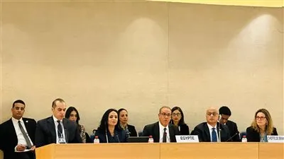 وزير الخارجية: قيم الكرامة الإنسانية والعدالة والمساواة وعدم التمييز والتسامح من الركائز الأساسية لمصر