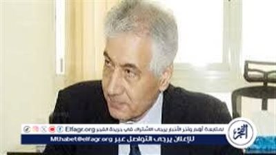 وزير المالية الأسبق: نحتاج حوافز للمسثمرين للاستثمار في الصناعة