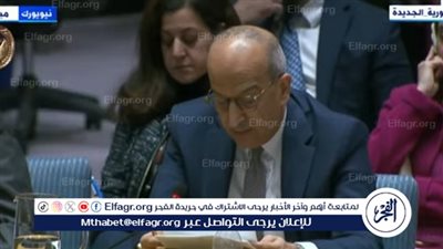 مصر بمجلس الأمن: اعتداءات إسرائيل على أونروا بداية نهاية الأمم المتحدة
