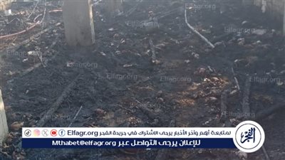 عاجل.. تفحم 5500 كتكوت داخل مزرعة دواجن فى الغربية