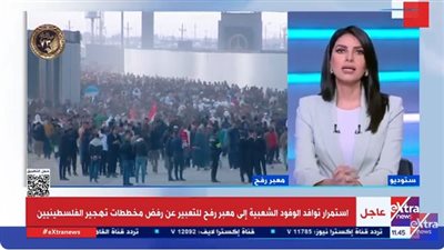 رئيس حزب الإصلاح والنهضة: اقتلاع الشعوب عنصرية مرفوضة دوليًا 