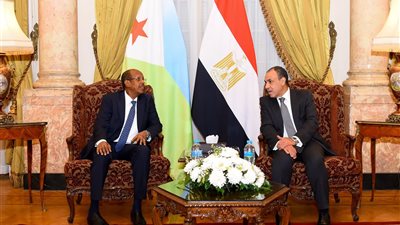 وزير الخارجية ونظيره الجيبوتي يؤكدان على تعزيز الأمن البحري وحماية الممرات الملاحية في البحر الأحمر