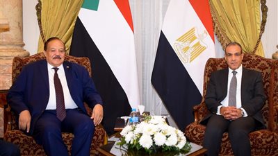 وزير الخارجية والهجرة: مصر تبذل كافة المساعي لاستعادة الاستقرار والسلم في السودان