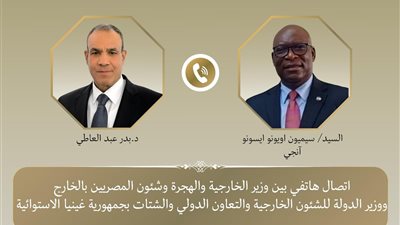 هاتفيا.. وزير الخارجية والهجرة يبحث مع نظيره الإكواتوري تعزيز السلم والأمن في القارة الأفريقية