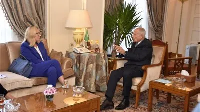 أبو الغيط: التهجير يُمثل خطرًا وجوديًا على القضية الفلسطينية.. ويؤكد: ليس شرطًا لتحقيق إعادة الإعمار إفراغ غزة