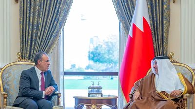 وزير الخارجية والهجرة يلتقي ولي عهد البحرين رئيس مجلس الوزراء
