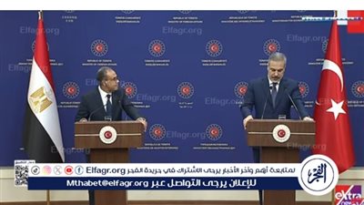 وزير الخارجية: نشكر تركيا على جهودها في إعادة الآثار المصرية المسروقة