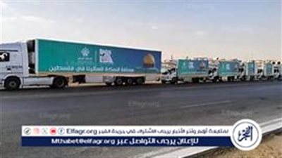 غزة تستقبل جثامين الشهداء.. والقوافل المصرية تواصل طريقها نحو القطاع (فيديو)