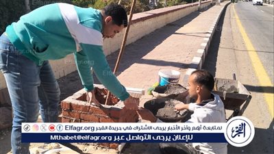زراعة أشجار وتطوير أحواض الزراعة بشوارع حي غرب أسيوط