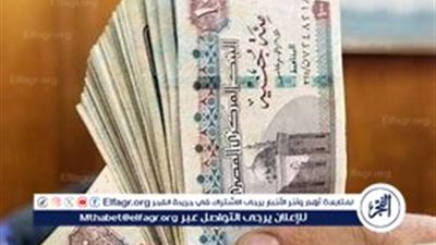 شروط المعاش المبكر لعام 2025 في مصر