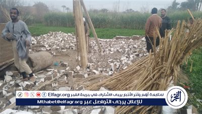 رئيس مركز صدفا ينفذ إزالة فورية لحالتي تعدى على الأراضي الزراعية