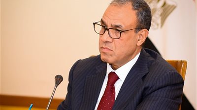 وزير الخارجية والهجرة يلتقي أعضاء السلك الدبلوماسي المصري من الدرجات الحديثة والمتوسطة