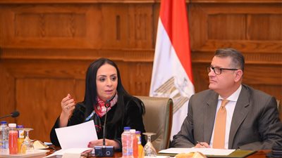 وزيرة التضامن الاجتماعي أمام لجنة حقوق الإنسان: تكامل خدمات الحماية الاجتماعية لمستفيدي 