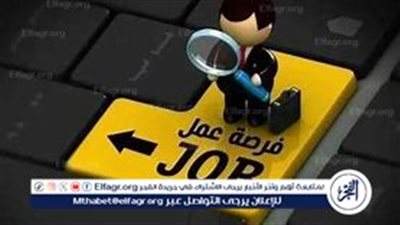 فرص عمل للمعلمين بالخارج براتب يصل إلى 40 ألف جنيه.. التفاصيل الكاملة