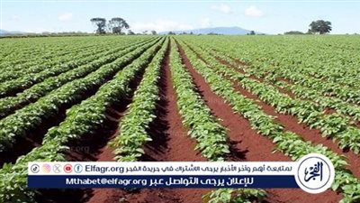 ضوابط حددها القانون لاستخراج بطاقة الحيازة الزراعية