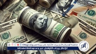 استقرار سعر الدولار مقابل الجنيه المصري خلال تعاملات اليوم الثلاثاء 11 فبراير 2025
