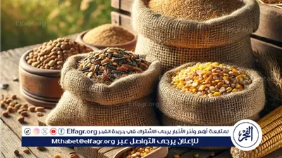 تحديث أسعار الأعلاف اليوم الثلاثاء 11 فبراير 2025: تغيرات واسعة في أسعار الذرة والصويا