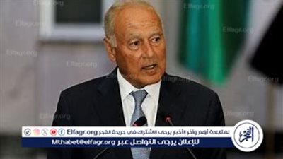 أبو الغيط: النظام الدولي لن يتغير إلا بحرب عالمية ثالثة