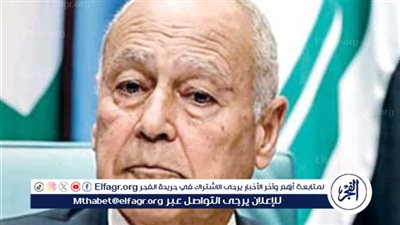 أحمد أبو الغيط: العرب بحاجة إلى الوحدة للدفاع عن القضية الفلسطينية