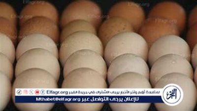 أسعار طبق البيض اليوم السبت 30-8-2025 في قنا