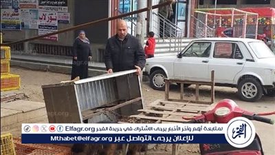 محافظ الدقهلية يتابع أعمال حملة رفع الإشغالات بحي شرق المنصورة