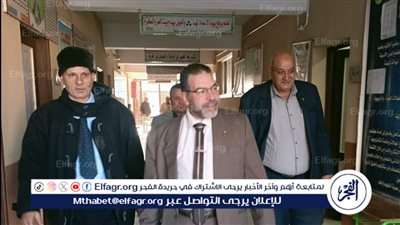 وكيل مديرية التربية والتعليم في الدقهلية في جولة تستهدف مدارس طلخا..صور