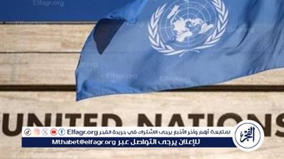 عاجل - الأمم المتحدة: مصر لديها سجل حافل من الإسهامات الدولية على مدى 80 عاما