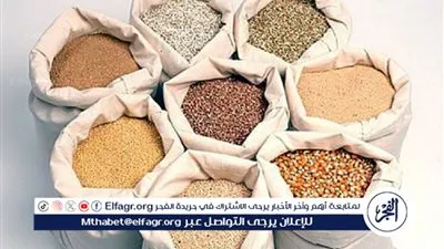 ارتفاع أسعار الأعلاف في السوق اليوم الخميس 13 فبراير 2025