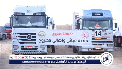 مصر تدفع بأكثر من 45 ألف شاحنة مساعدات لغزة منذ بدء الأزمة