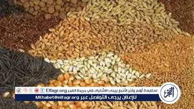 استقرار أسعار الأعلاف اليوم الجمعة 14 فبراير 2025 مع تراجع طفيف في الذرة وكسب الصويا