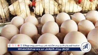 انخفاض أسعار الدواجن والبيض في الأسواق اليوم السبت 15 فبراير 2025