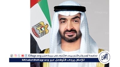  رئيس دولة الإمارات يستقبل النائب الأول لرئيس مجلس الوزراء الروسي